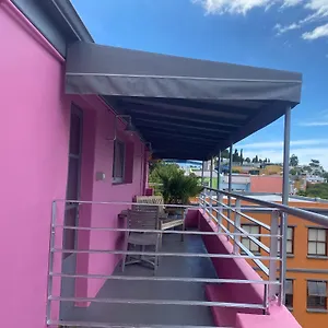 Man And Tree House Apartment Cape Town